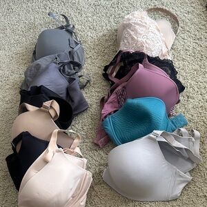 Elegant Women's Intimates Collection - Assorted Colors Bulk Lot of Bras